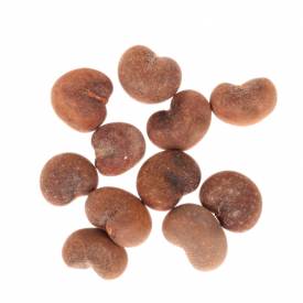 Baobab Oil (Organic)